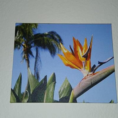 Three canvass floral wall art