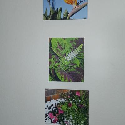 Three canvass floral wall art