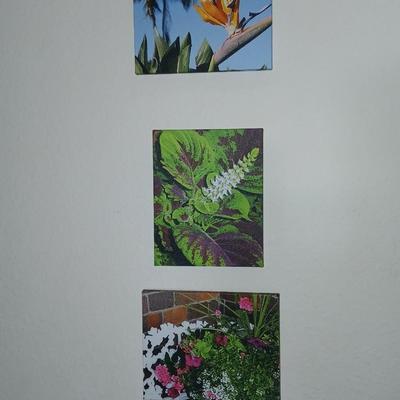 Three canvass floral wall art