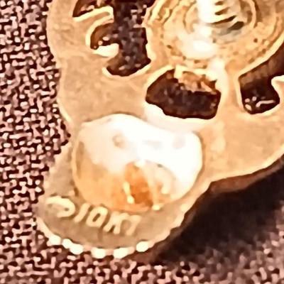 Small award pins - 10k elk - D.A.K. - 4-H award - alumni and more