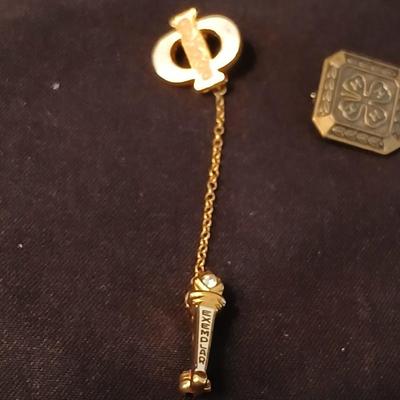 Small award pins - 10k elk - D.A.K. - 4-H award - alumni and more