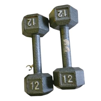 Workout Lot