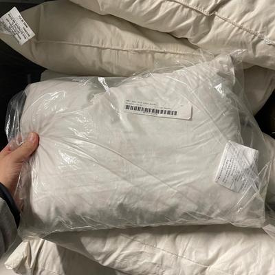 17 Down Pillows with Shams and Pillowcases (1020BL-SS)