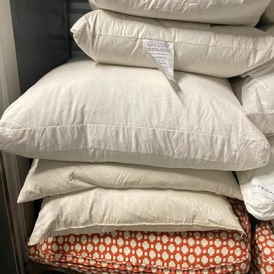 17 Down Pillows with Shams and Pillowcases (1020BL-SS)