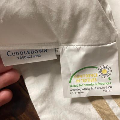 17 Down Pillows with Shams and Pillowcases (1020BL-SS)