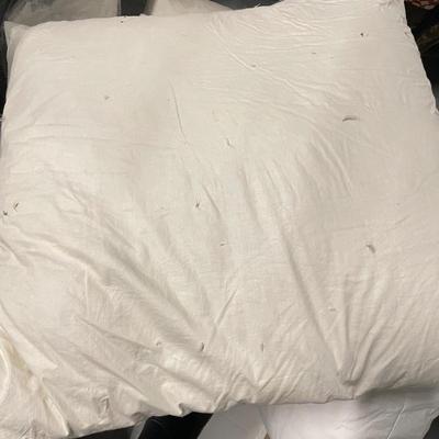 17 Down Pillows with Shams and Pillowcases (1020BL-SS)