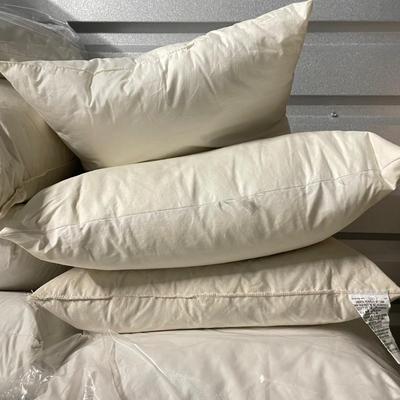 17 Down Pillows with Shams and Pillowcases (1020BL-SS)