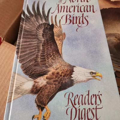 Lot of books