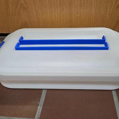 Storage Container with Handles