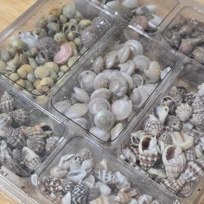 Tiny Shells