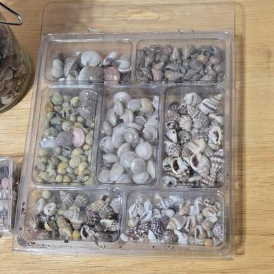 Tiny Shells