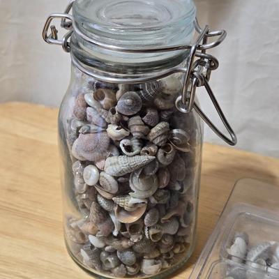 Tiny Shells