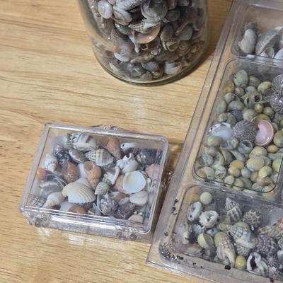 Tiny Shells
