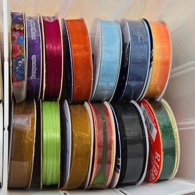 Designs & Solid Color Ribbon Lot