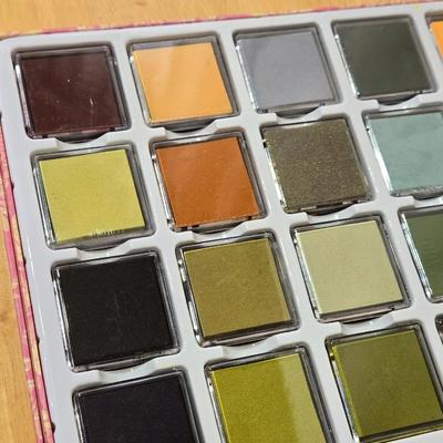 ANNA GRIFFIN Designer Ink SET of 24 PIGMENT COLOR INKS in BOX