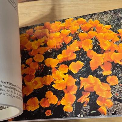 (3) Floral Post Card Books