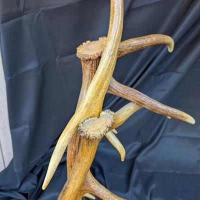 Stunning Natural Elk antler floor lamp, excellent condition for age and use