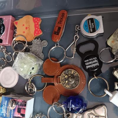 PLASTIC STORAGE CONTAINER FILLED WITH UNIQUE KEYCHAINS