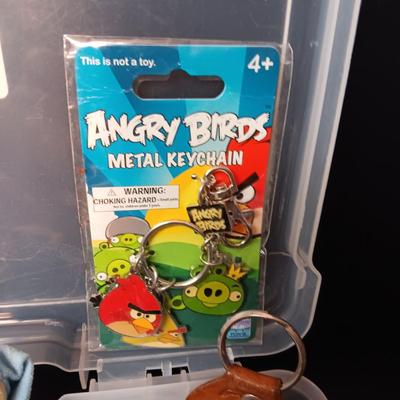 PLASTIC STORAGE CONTAINER FILLED WITH UNIQUE KEYCHAINS