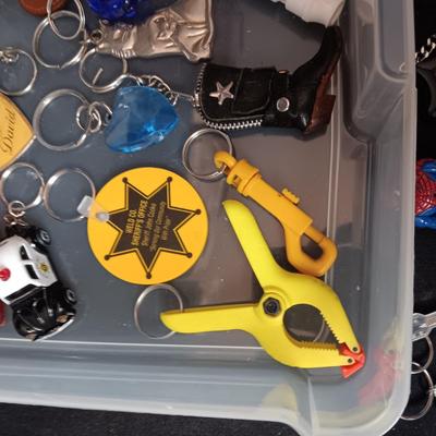 PLASTIC STORAGE CONTAINER FILLED WITH UNIQUE KEYCHAINS