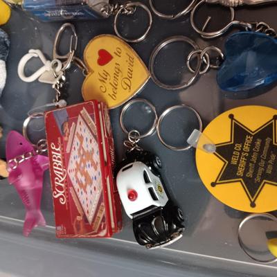 PLASTIC STORAGE CONTAINER FILLED WITH UNIQUE KEYCHAINS