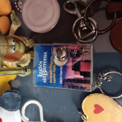 PLASTIC STORAGE CONTAINER FILLED WITH UNIQUE KEYCHAINS
