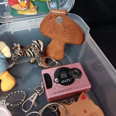 PLASTIC STORAGE CONTAINER FILLED WITH UNIQUE KEYCHAINS