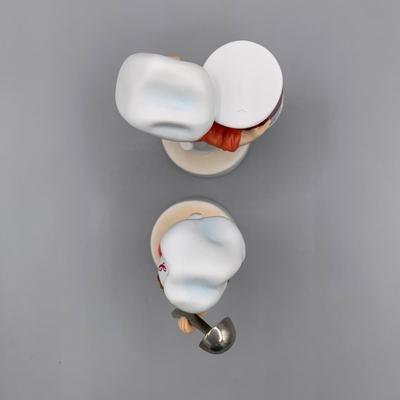 LOT 167 A: Campbells Soup Collection: 1988 Special Edition Kid Dolls, Coffee Mugs, & More