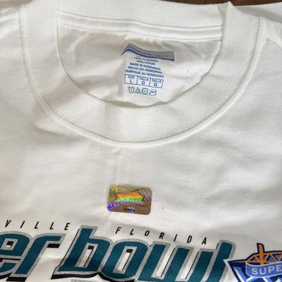 LOT 238A: Philadelphia Eagles Clothing, Hats & Footballs incl. 2004 NFC Champions Merch