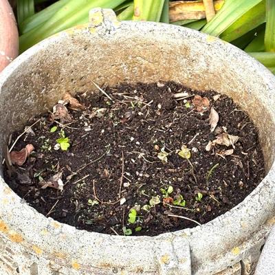 Set of 4 Large Flower Pots - One Cement Urn and Three Composite