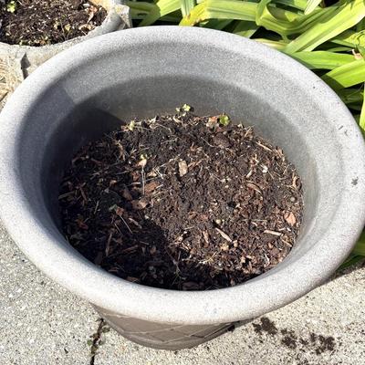 Set of 4 Large Flower Pots - One Cement Urn and Three Composite