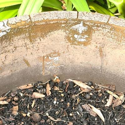 Set of 4 Large Flower Pots - One Cement Urn and Three Composite