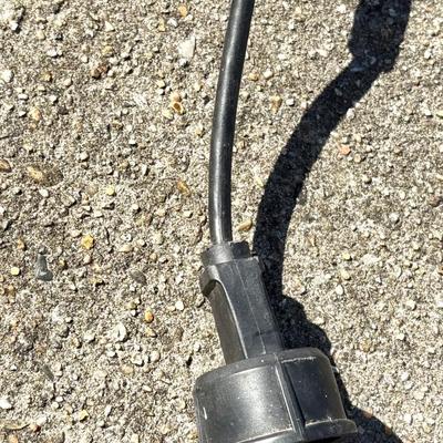 Remington Pole Saw With Pole