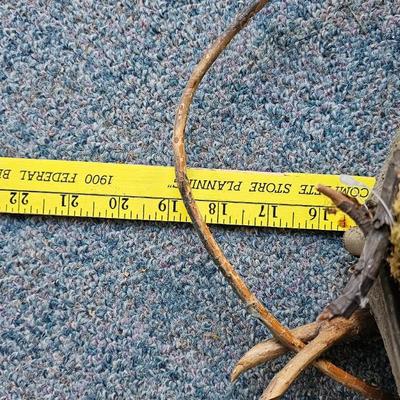 Wood Bird House decorations