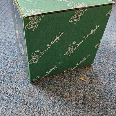 Planter pot with stand and plant rooter