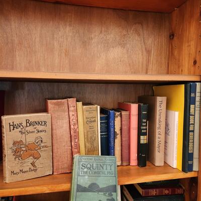 Book Lot Squinty the Comical Pig, Hans Brinker Gulliver's Travels. Two Years Before The Mast and others