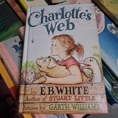 Collection of Vintage Children's Books & More (1020CL-SD)