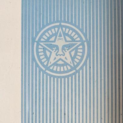 Rare Signed Shepard Fairey "We the People * Defend Dignity " Artwork