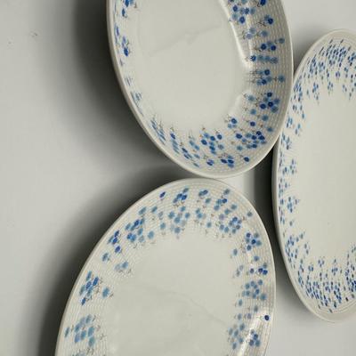 Sheffield Fine China “Rhapsody” 20 Piece Set