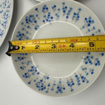 Sheffield Fine China “Rhapsody” 20 Piece Set