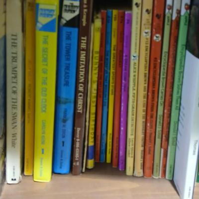 Assortment of books - Little Golden - Dr. seuss - snoopy and other great titles from yesterday!