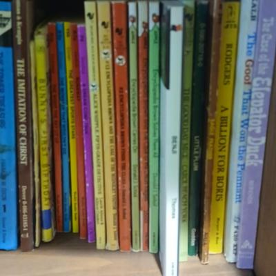 Assortment of books - Little Golden - Dr. seuss - snoopy and other great titles from yesterday!