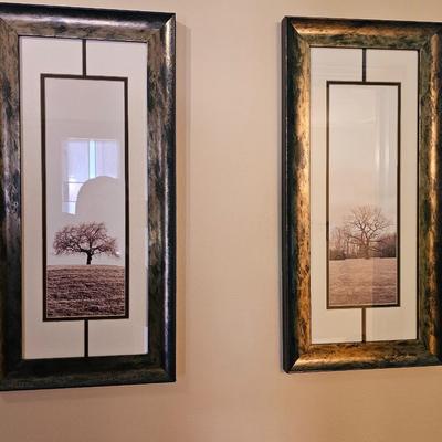 Matching framed wall art trees - appear to be in Sepia -