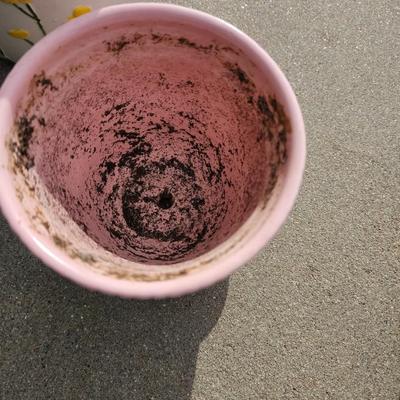 Decorative Ceramic flowerpots with seed packets and more