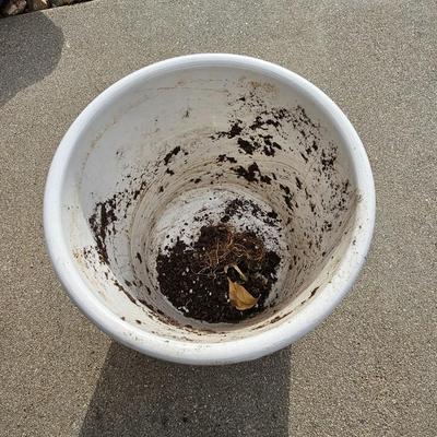 Decorative Ceramic flowerpots with seed packets and more