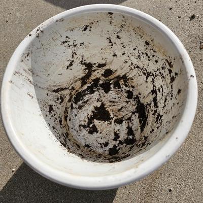 Decorative Ceramic flowerpots with seed packets and more