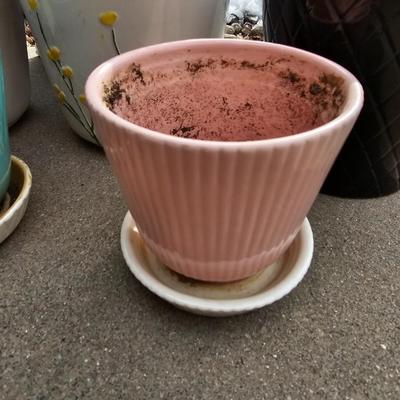 Decorative Ceramic flowerpots with seed packets and more