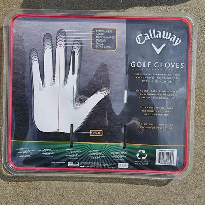 Brand new Callaway golf gloves with a pair of DryJoys golf shoes