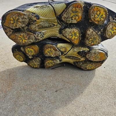 Brand new Callaway golf gloves with a pair of DryJoys golf shoes