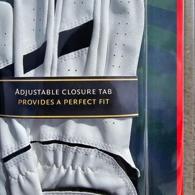 Brand new Callaway golf gloves with a pair of DryJoys golf shoes